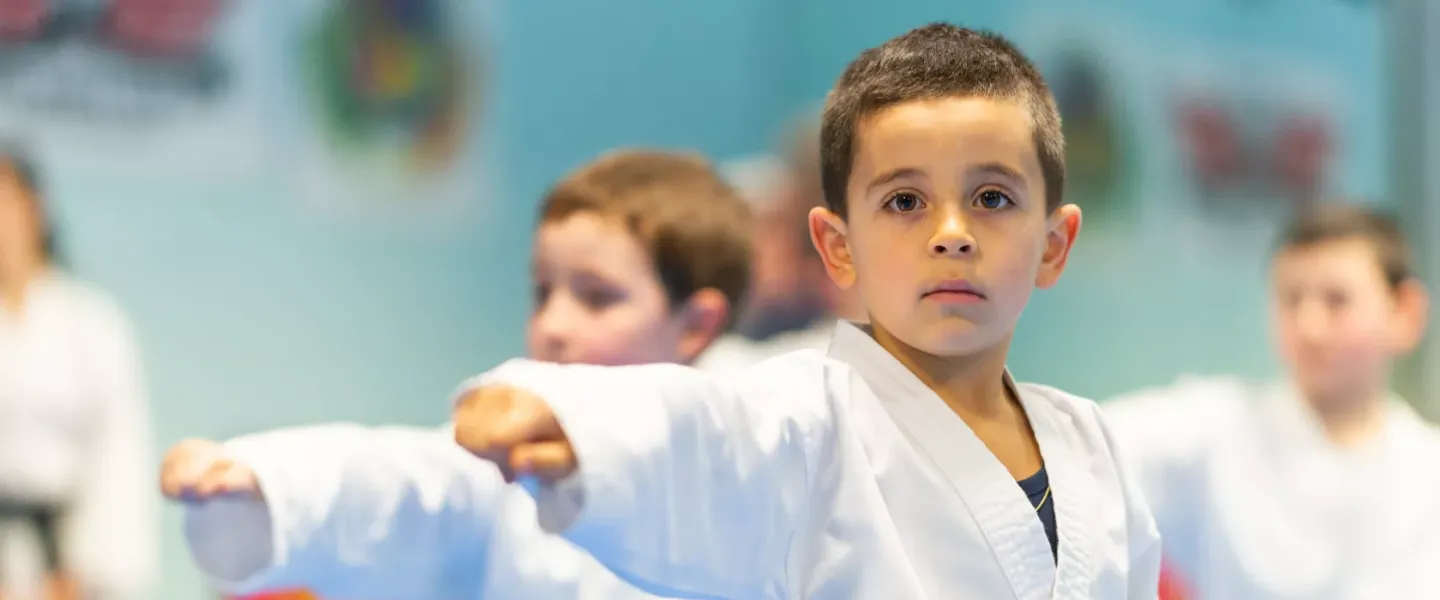 Karate Banner