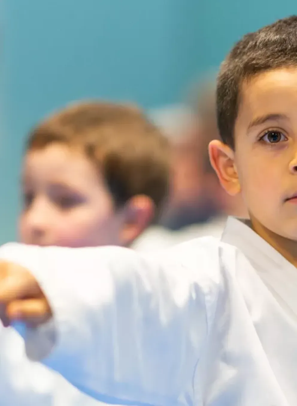 Karate Banner