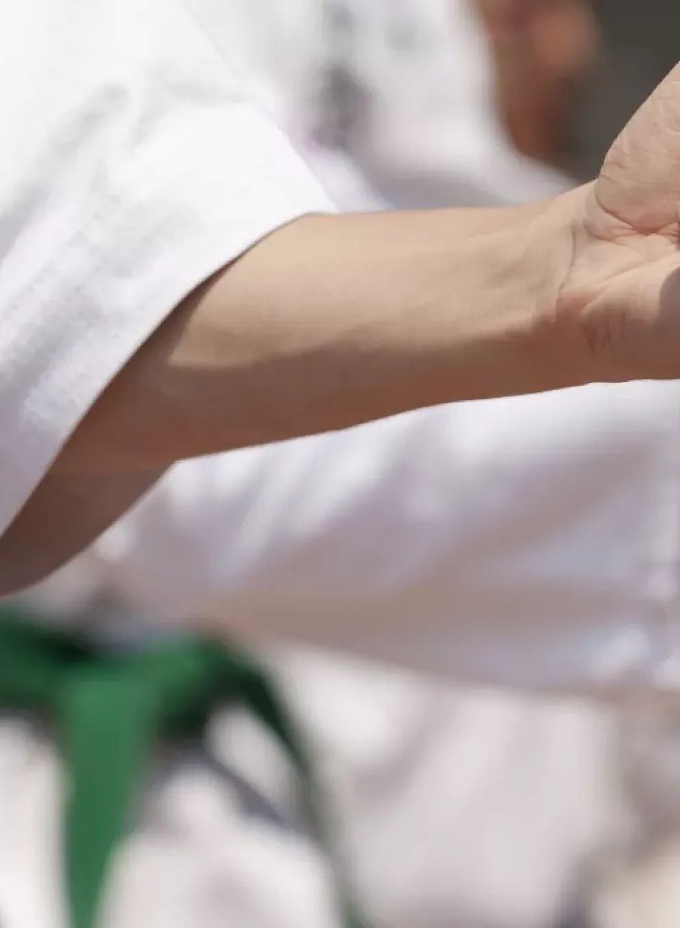 Karate Banner