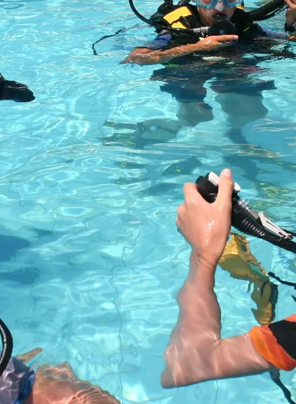Scuba Camp
