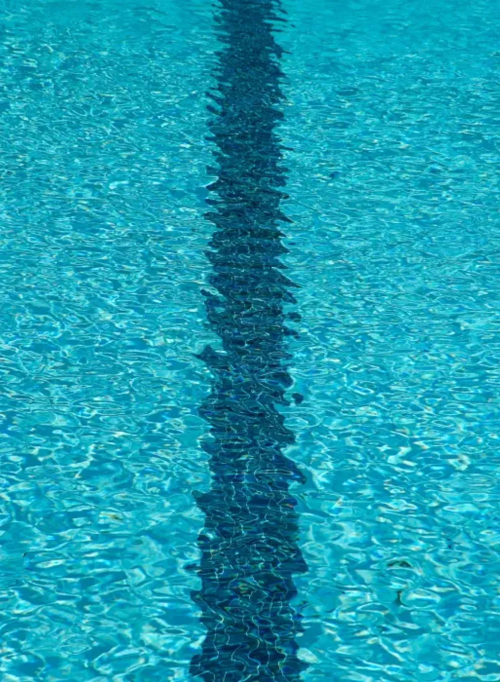 Swimming Banner
