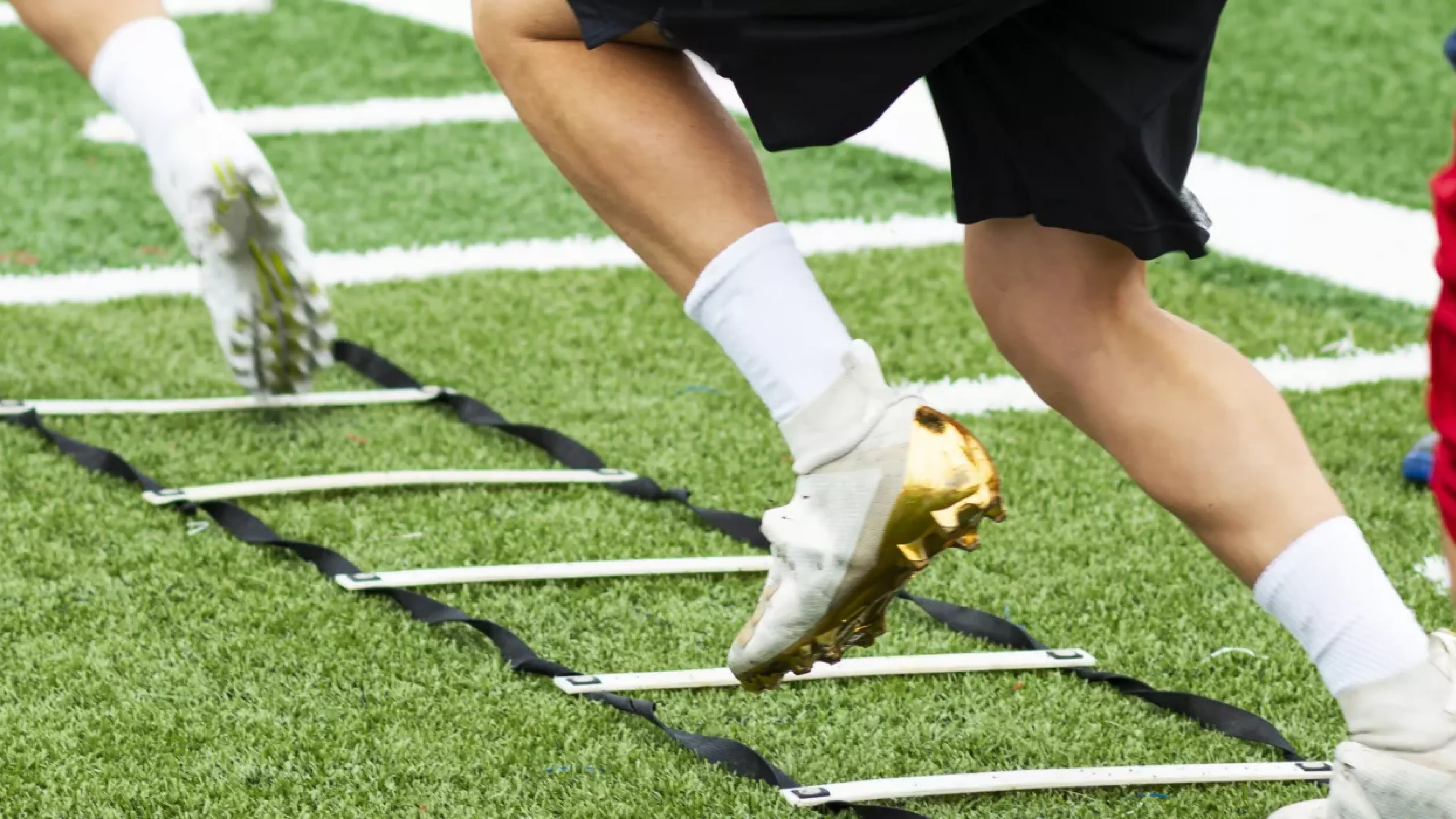 High School Sports Banner