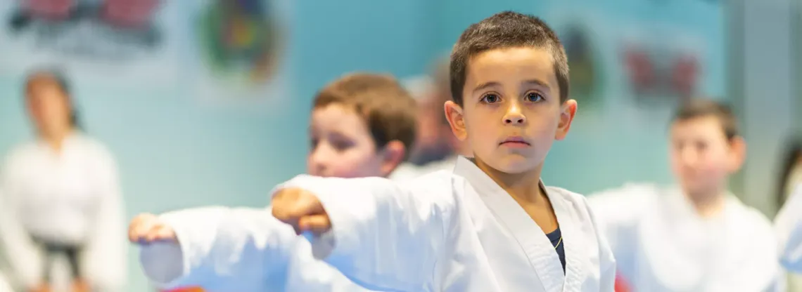 Karate Banner